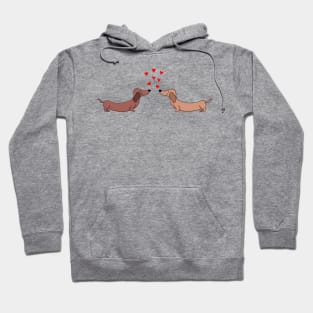 Sausage Dog Love Hoodie